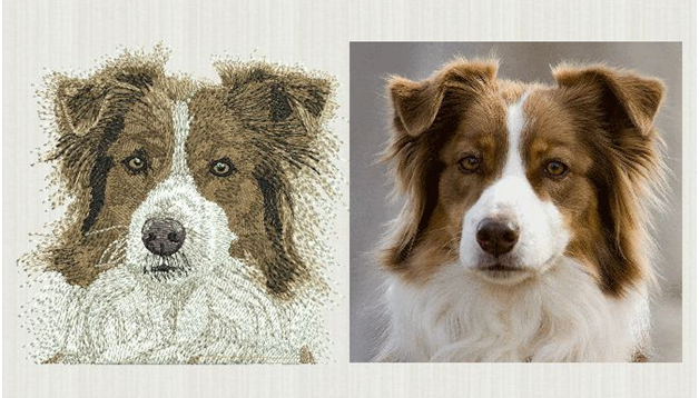 Dog Designs